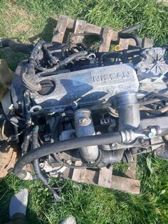 Motor za Automobile - Nissan - Patrol - 2000