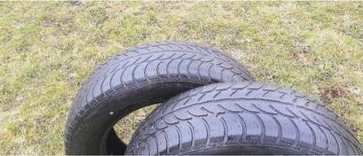 Sava - M+S - Zimska guma