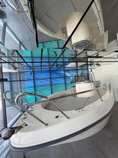 Capelli - FREEDOM 20