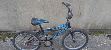 Capriolo - adria rocker 20