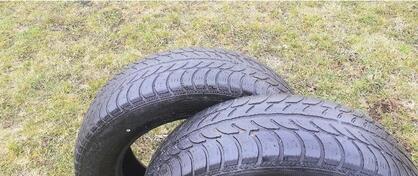 Sava - M+S - Zimska guma