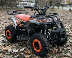 AGM - dazle 49 junior