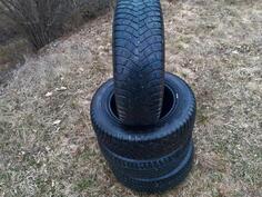 Sava - / - Winter tire