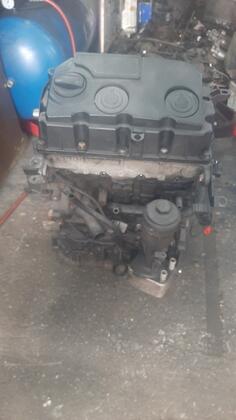 Glava motora za Volkswagen - Golf 5    - 2008