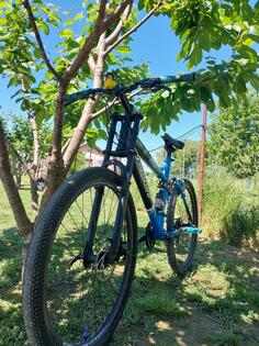 Scout - MTB