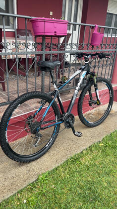 Bulls - Bulls Shartptail 2 Disc 29