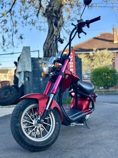 Harley-Davidson - električni