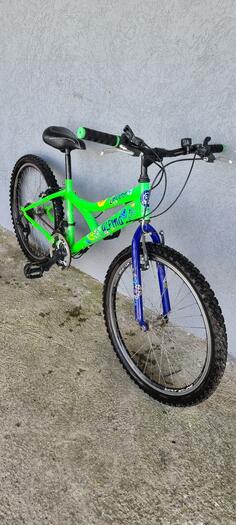 Ostalo - ALLINA SKELETON