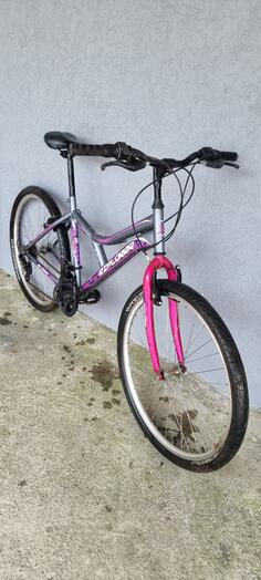 Ostalo - EXPLORER DAISY