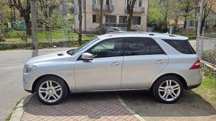 Mercedes Benz - ML 250 - 4 Matic