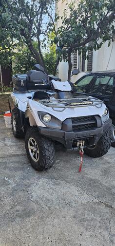 Kawasaki - Brute Force 750