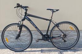 Polar - Forester Comp