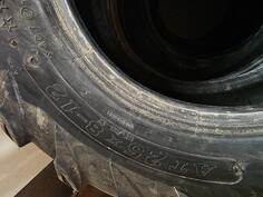 Accelera - 2021 - Ljetnja guma