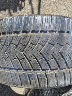 Ling Long - sport master winter - Winter tire