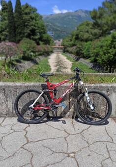 Stevens - obberider thomus