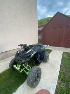 Arctic Cat - AFF Dazzle