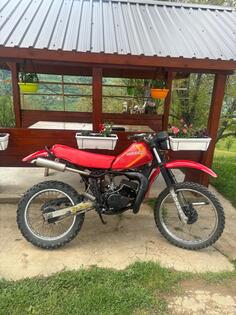 Suzuki - TS 125
