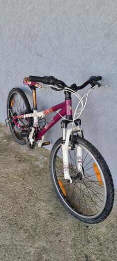 Scott - CONTESA  JUNIOR