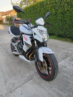 Kawasaki - er6n