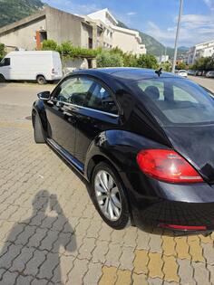 Volkswagen - Beetle - 1600