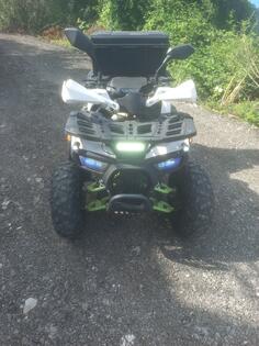 Big Dog - dazzle125