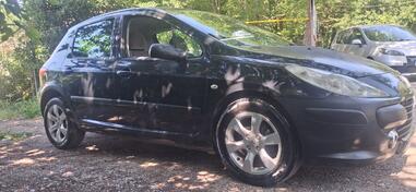 Peugeot - 307 - 1.6 hdi