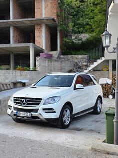 Mercedes Benz - ML 350 - 3.0 Bluetech