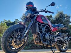 Benelli - Leoncino 500