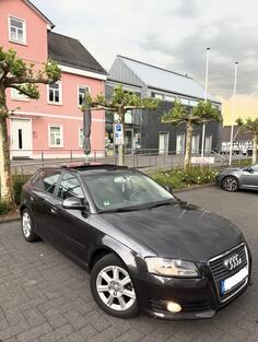 Audi - A3 - 1.6