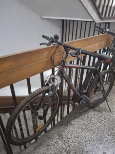Bergamont - bmx