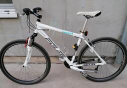 Polar - Forester