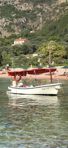 Maestral - 500