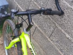City Bike - panda