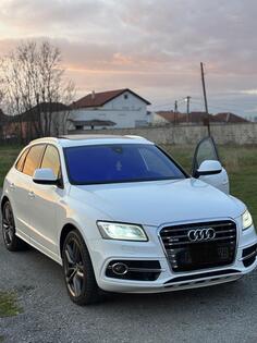 Audi - SQ5 - 3000