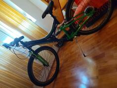 Capriolo - ctx 260