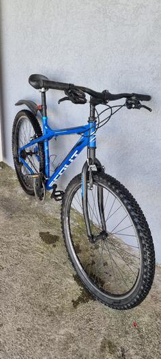 Scout - HAMMER VENERA