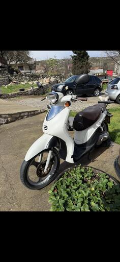 Piaggio - flipper