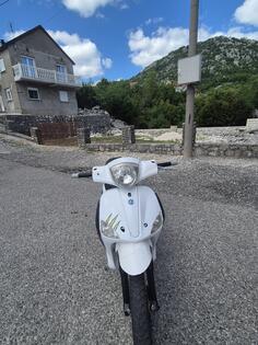 Piaggio - beverly