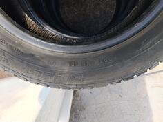 Kelly - Kelly - Summer tire