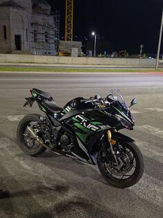 Peda - nfr 250
