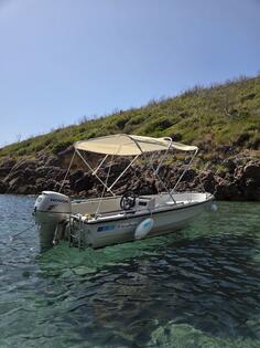 Sea ray - speedy 39