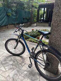 Shimano - Master