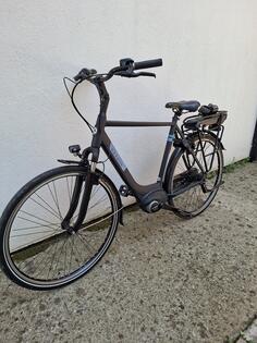 Gazelle - paris c7