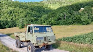 TAM - 110
