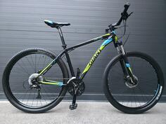 Giant - 29