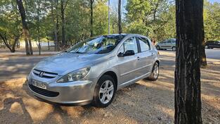 Peugeot - 307 - 2.0hdi 66kw