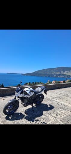 Suzuki - SUZUKI SV650X