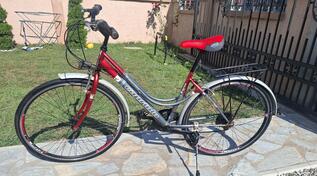 Capriolo - 28