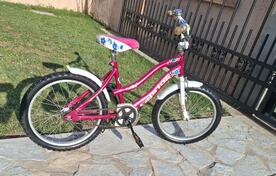 Capriolo - 20
