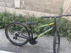 Capriolo - capriol 2024
